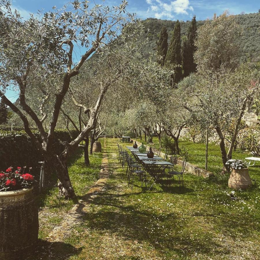 Sotto Il Cielo Di Toscana Appartamenti In Tenuta Only Adults No Pet Camaiore Buitenkant foto
