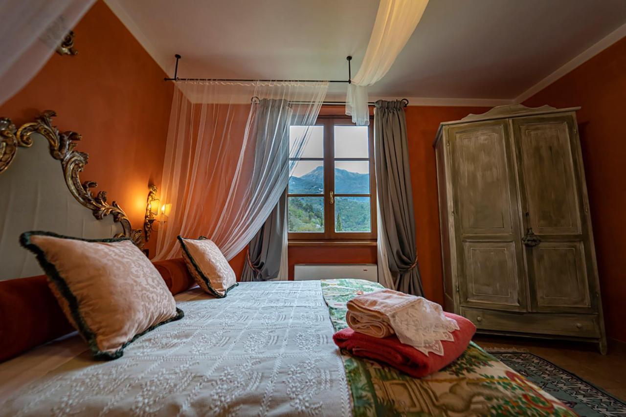 Sotto Il Cielo Di Toscana Appartamenti In Tenuta Only Adults No Pet Camaiore Buitenkant foto