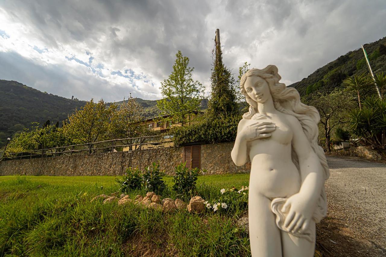 Sotto Il Cielo Di Toscana Appartamenti In Tenuta Only Adults No Pet Camaiore Buitenkant foto