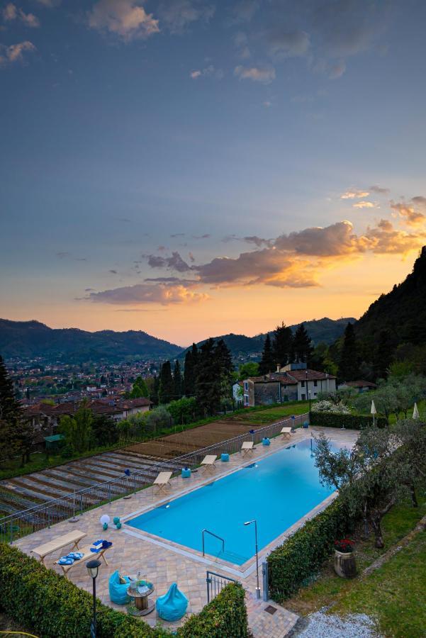 Sotto Il Cielo Di Toscana Appartamenti In Tenuta Only Adults No Pet Camaiore Buitenkant foto