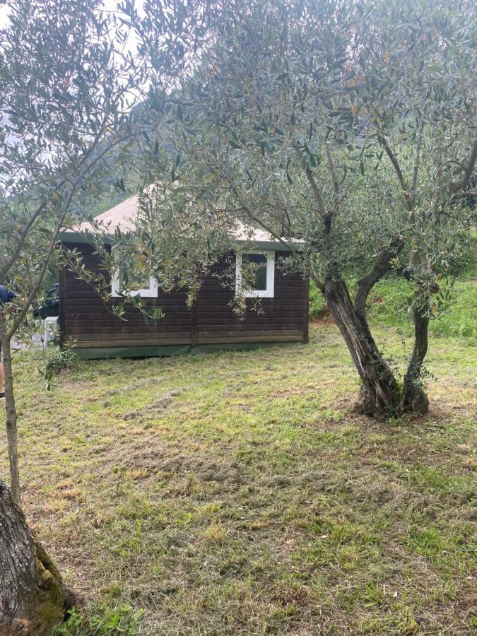Sotto Il Cielo Di Toscana Appartamenti In Tenuta Only Adults No Pet Camaiore Buitenkant foto