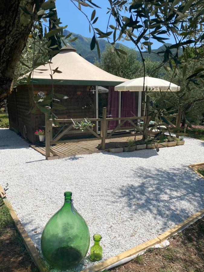 Sotto Il Cielo Di Toscana Appartamenti In Tenuta Only Adults No Pet Camaiore Buitenkant foto
