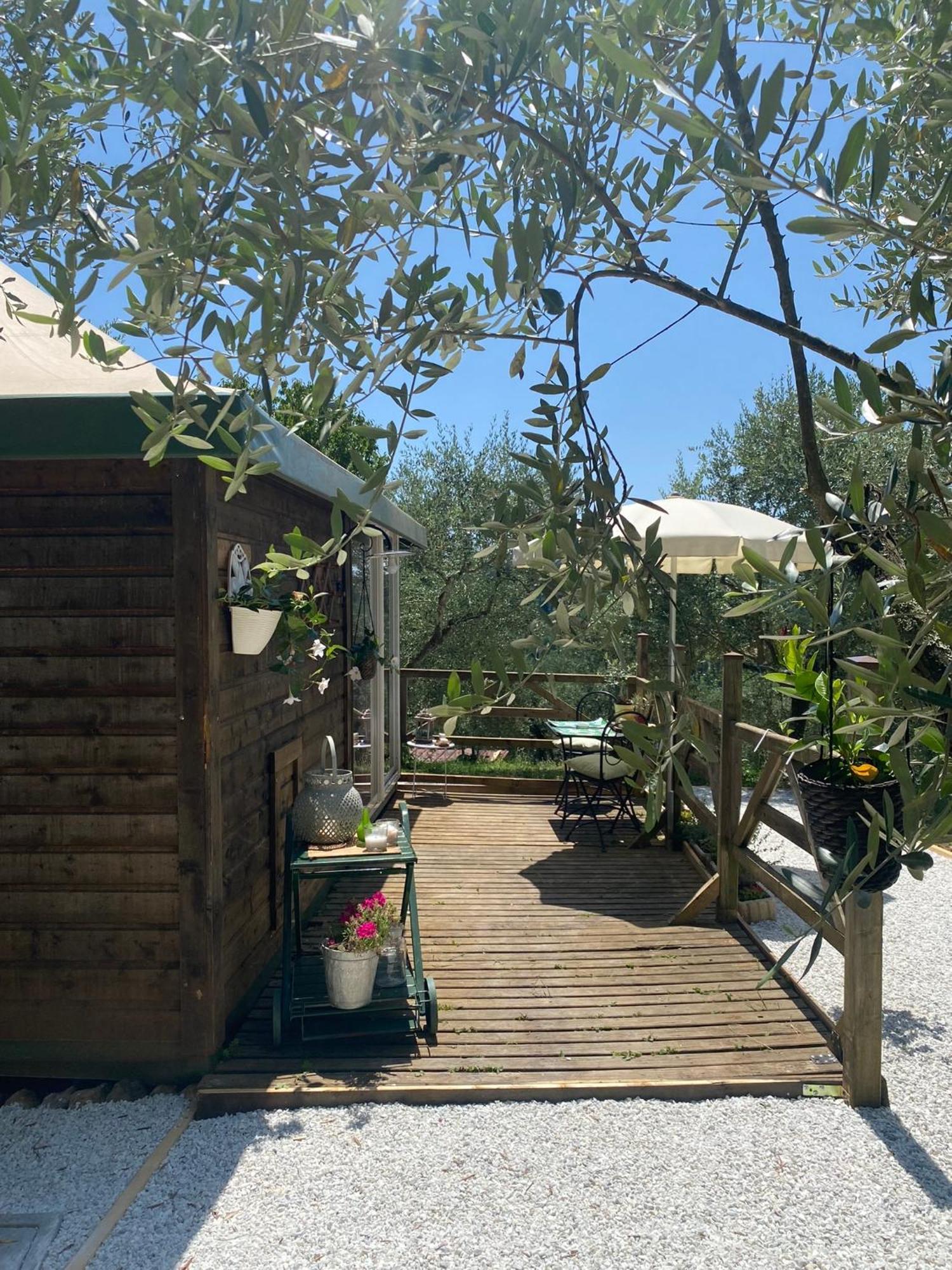 Sotto Il Cielo Di Toscana Appartamenti In Tenuta Only Adults No Pet Camaiore Buitenkant foto